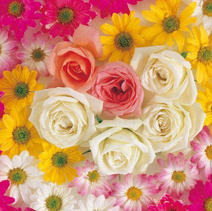 Meet your Posher, Chandrika